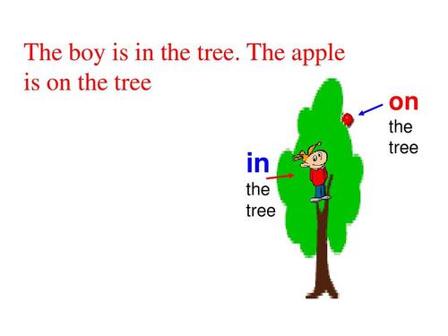 球在树上英文