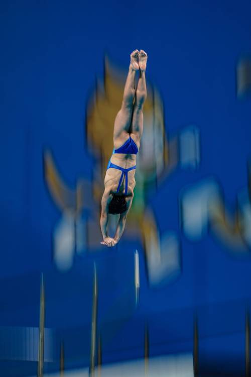 第十四届全运会跳水
