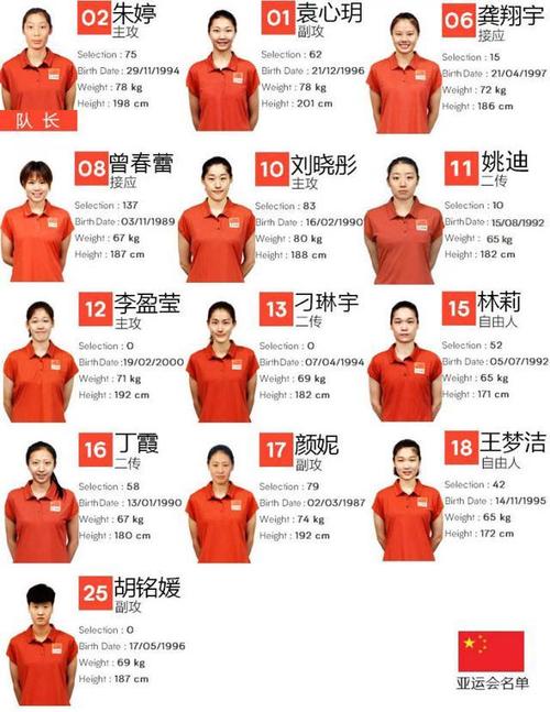 2016中国女排队员名单及号码